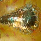 A New Life on the Sun