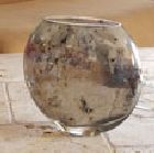 Mercury Vase 2